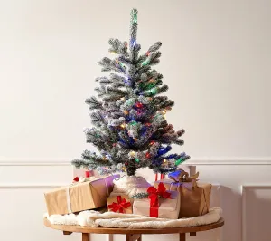 3' Prelit Snow Kissed Twinkling Slim Tree by Valerie, Clear