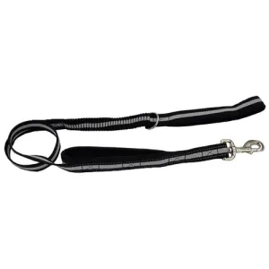 Coastal Double Handle Bungee Leash 4'