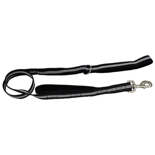 Coastal Double Handle Bungee Leash 4'