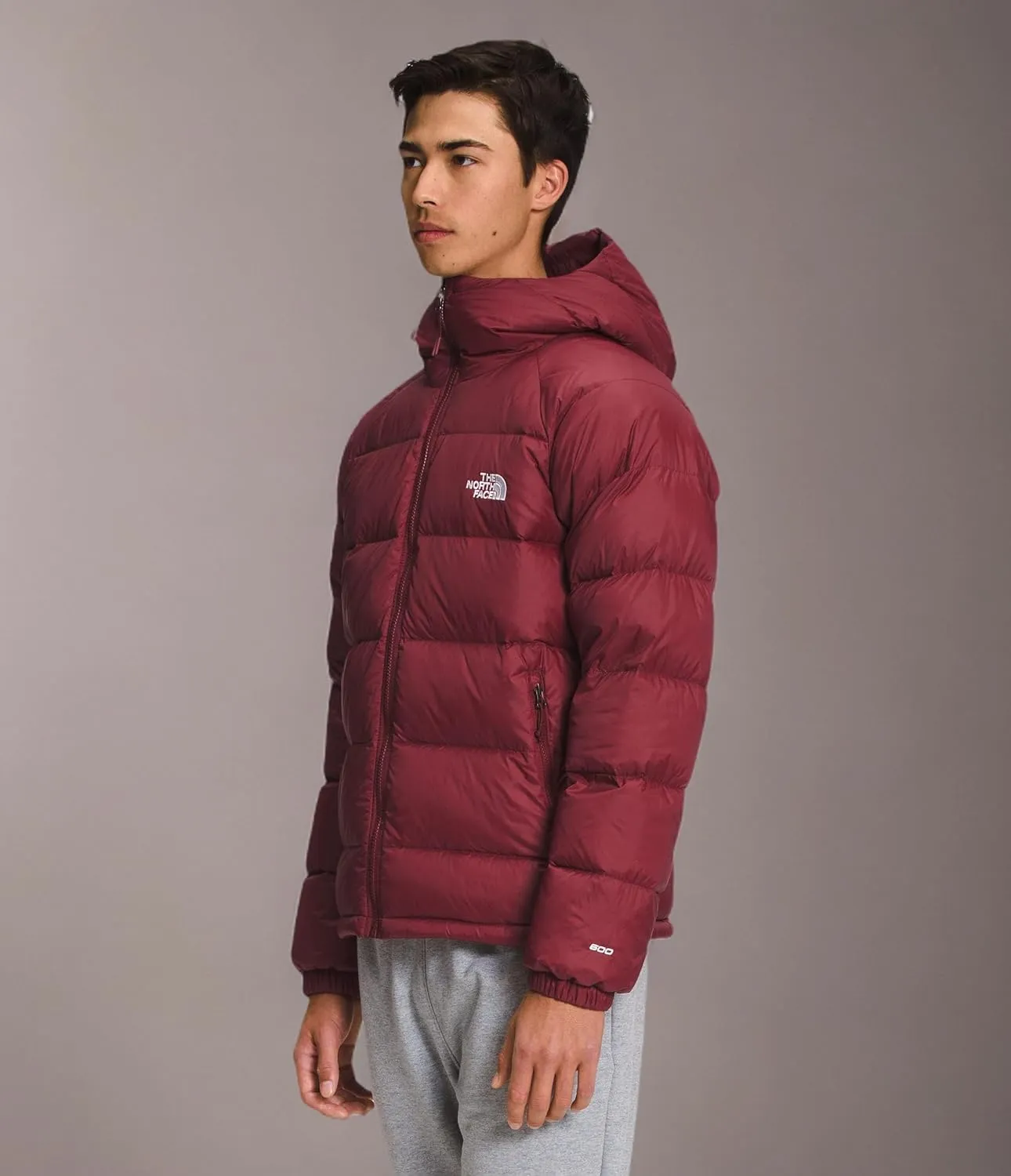THE NORTH FACE Men's Printed Hydrenalite Down Hoodie Puffer Jacket